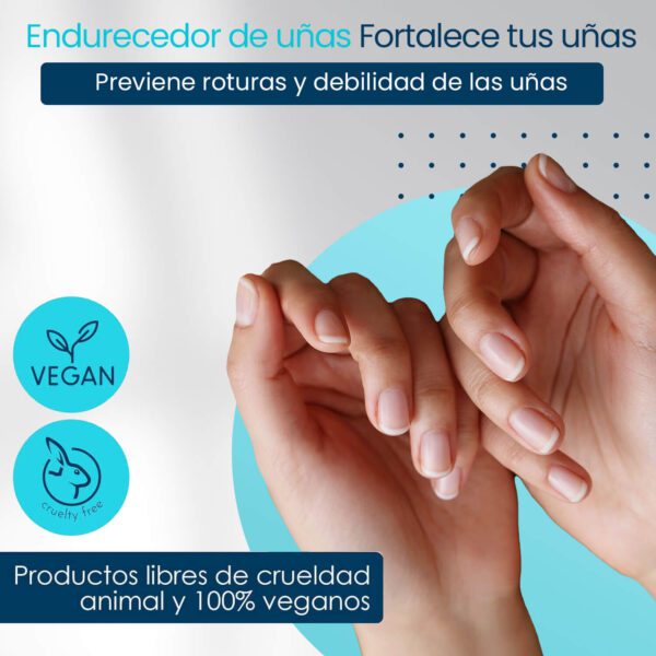 Marca: NOOVES. Imagen: B0C7H5QKWB.PT01.jpg. NOOVES NAILS - Nail Hardener 15 ml- Endurecedor de uñas - Tratamiento Fortalecedor para Uñas débiles